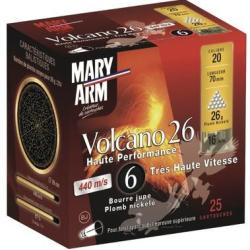 BTE 25 CART. PLOMB NICKEL&Eacute; MARY ARM VOLCANO CAL. 20 / 70 MM N&deg; 6 26G BJ