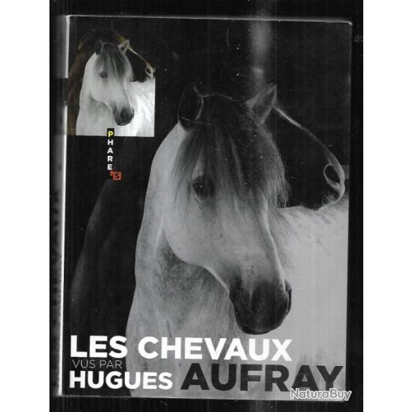 les chevaux vus par hugues auffray