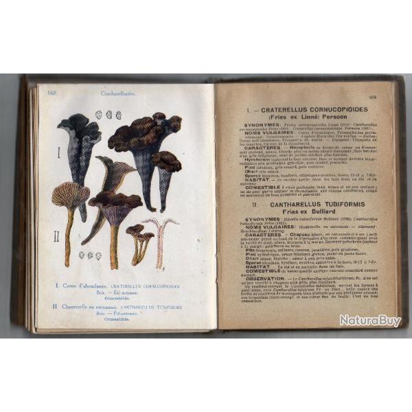 CHAMPINGONS DE FRANCE 1928 livre rare