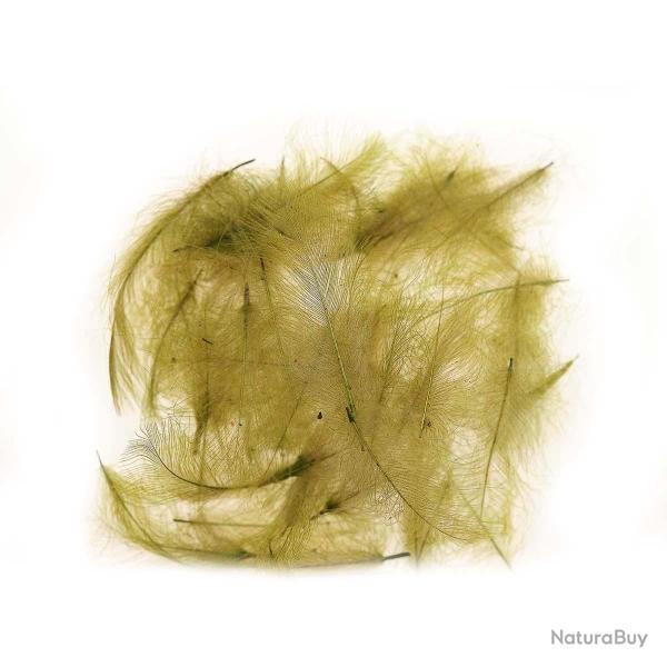 Cul De Canard Olive JMC