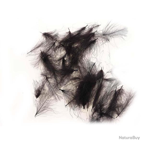 Cul De Canard Noir JMC