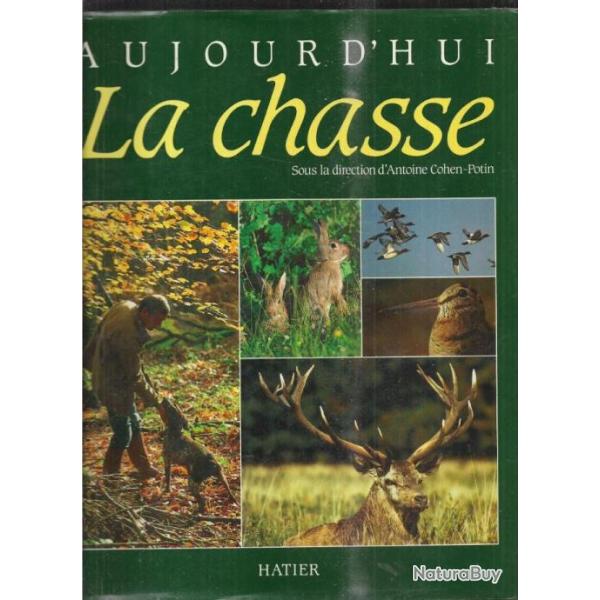 aujourd'hui la chasse de antoine cohen-potin