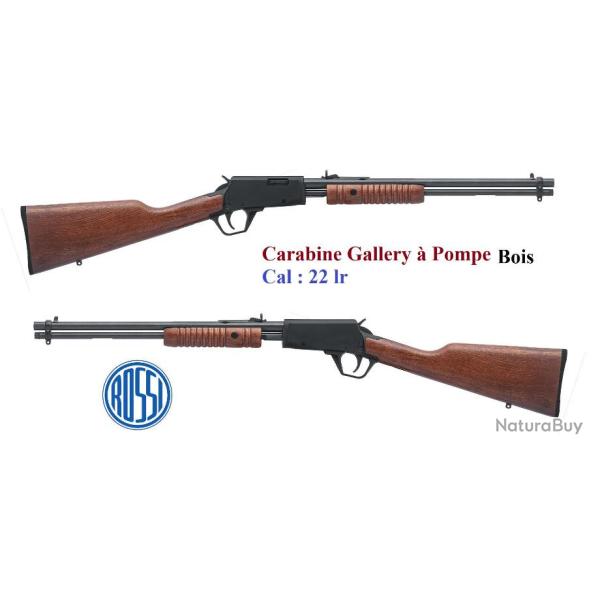 Carabine  Rossi  Gallery  bois  Cal 22 Lr  Pompe