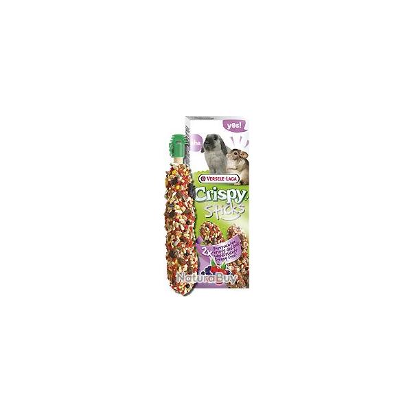 STICKS LAPINS/CHINCHILLAS FRUITS DES BOIS X2