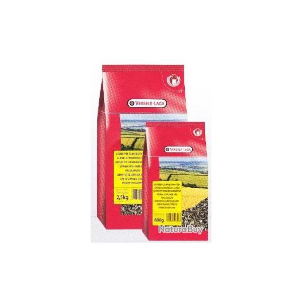 TOURNESOL STRIE PAQUET FRAICHEUR 600GR
