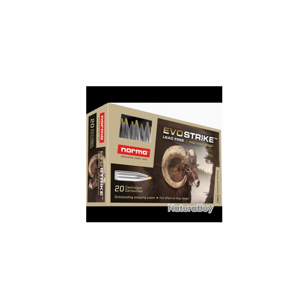 Wahoo ! 1 BOITE DE 20 BALLES NORMA EVOSTRIKE CAL 270WIN  6;2G  96GR