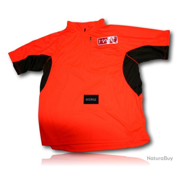 30 TEE SHIRT IRON 2 TS BLAZE HART