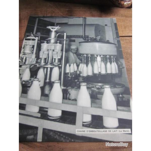 carte fiche photo  /  CHAINE D EMBOUTEILLAGE DE LAIT  LE MANS