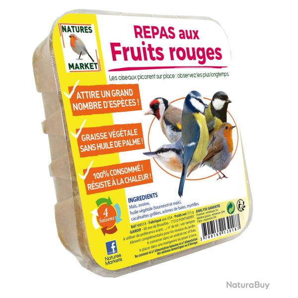 REPAS AUX FRUITS 300GR