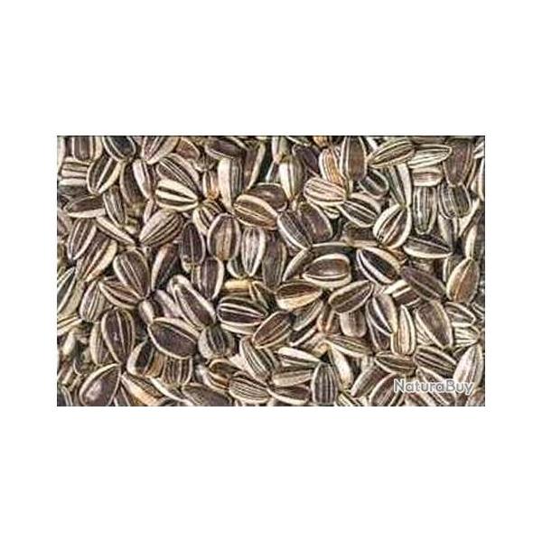 TOURNESOL STRIE, Nettoy 15 kg