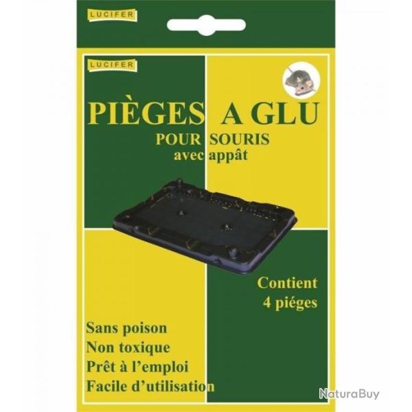 4 PIEGE A SOURIS GLUE AVEC APPAT ODORANT RONGEUR NON TOXIQUE PRET A L EMPLOI