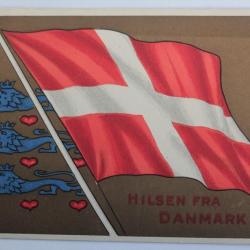 CPA Danemark Drapeau Hilsen fra danmark
