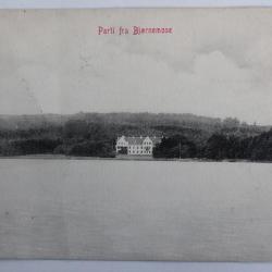 CPA Danemark Parti fra Bjornemose