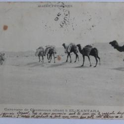 CPA Alg&eacute;rie pittoresque Caravane de Chameaux allant &agrave; El-Kantara