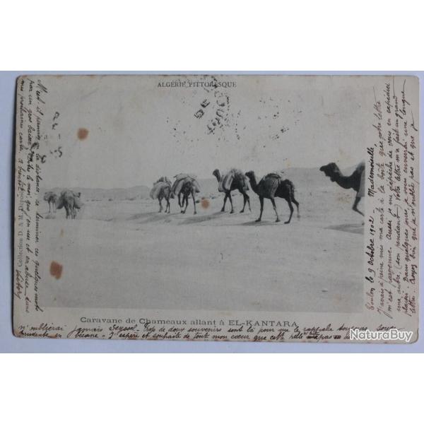CPA Alg�rie pittoresque Caravane de Chameaux allant � El-Kantara