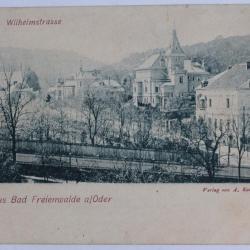CPA Allemagne Wilhelmstrasse Gruss aus Bad Freienwalde a/Oder