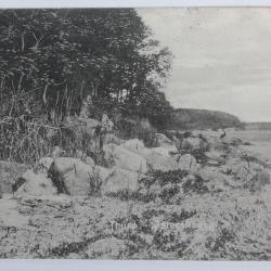 CPA Danemark Thurø Østerskoven