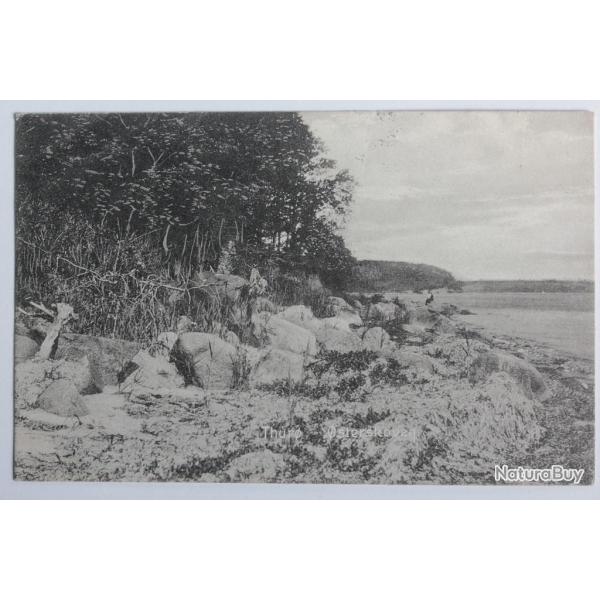 CPA Danemark Thur� �sterskoven