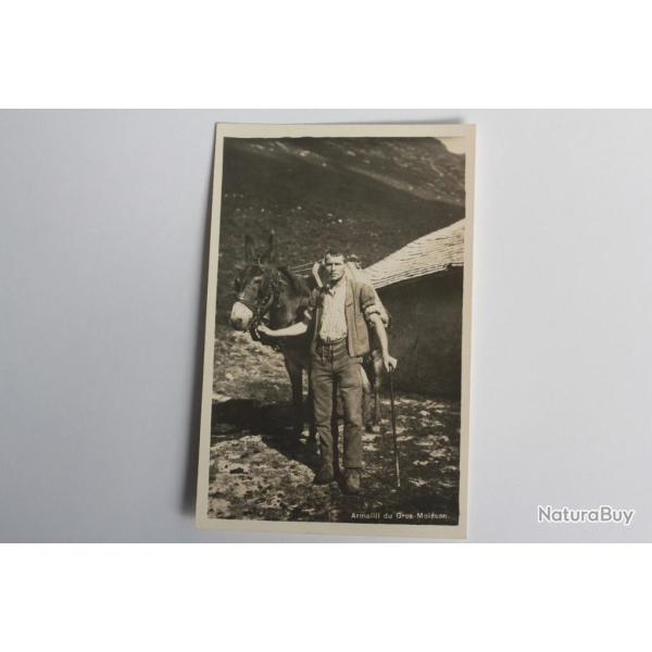 CPA Suisse Armailli du Gros-Mol�son �ne