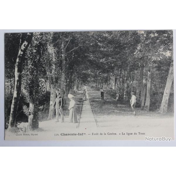 CPA Charente-Inf�rieure Royan For�t de la Coubre La ligne du Tram