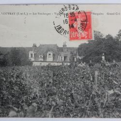 CPA Indre-et-Loire Vouvray Vendanges Château Bargains Grand Cru Vin