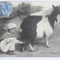 CPA Malte Maltese milk seller
