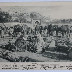 CPA Maroc Tanger Caravane reposante