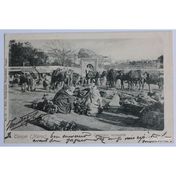CPA Maroc Tanger Caravane reposante