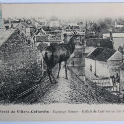 CPA Aisne Forêt Villers-Cotterêts Équipage Menier Cerf Chasse
