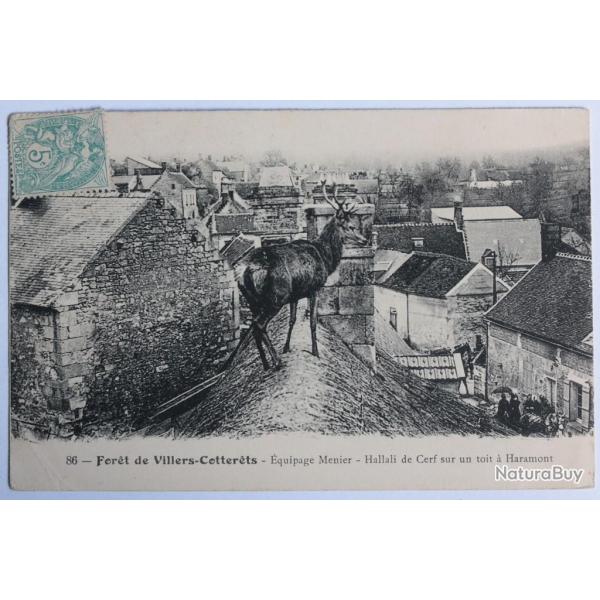 CPA Aisne For�t Villers-Cotter�ts �quipage Menier Cerf Chasse
