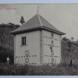CPA Haute-Savoie Année 1913 Vin Francizod Vanzy Chessenaz Seyssel Frangy