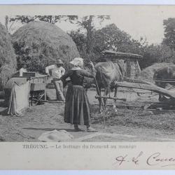 CPA Finistère Trégunc Le battage du froment au manège