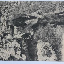 CPA Yonne Vallée de la Cure St-Moré Père Leuleu Chasse aux Serpents