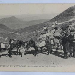 CPA Puy-de-Dôme Environs du Mont-Dore Panorama Puy de Sancy