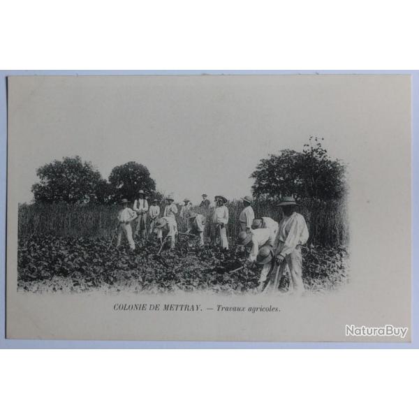 CPA Indre-et-Loire Colonie de Mettray Travaux agricoles