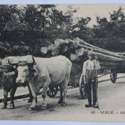 CPA C&ocirc;te-d'Or Semur Attelage de boeufs