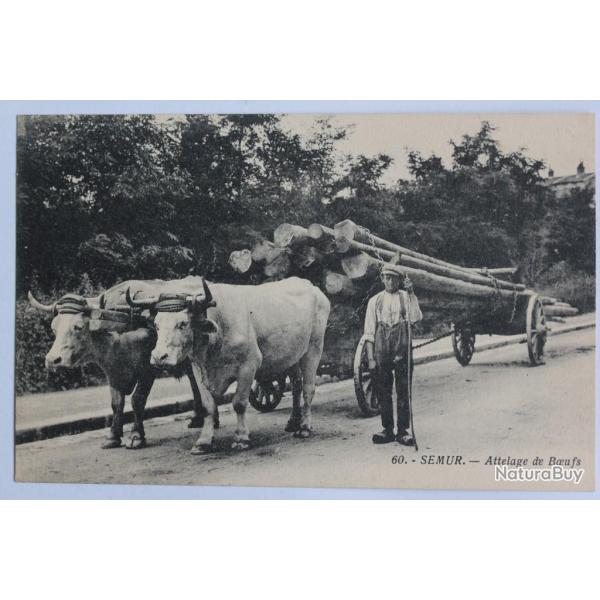 CPA C�te-d'Or Semur Attelage de boeufs