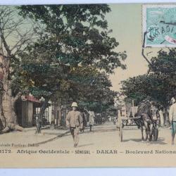 CPA Afrique occidentale S&eacute;n&eacute;gal Dakar Boulevard National Attelage