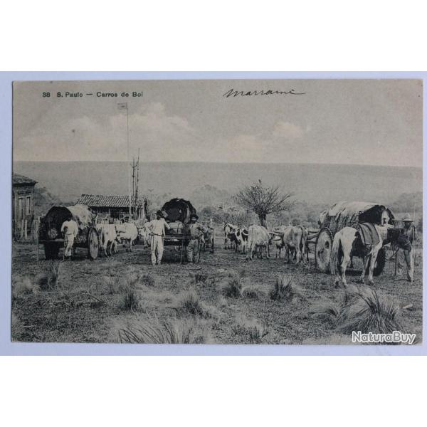 CPA Br�sil Sao Paulo Carros de Boi Charrettes � boeufs Attelage