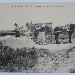 CPA Vend&eacute;e Les Sables d'Olonne Charroi du sel Attelage