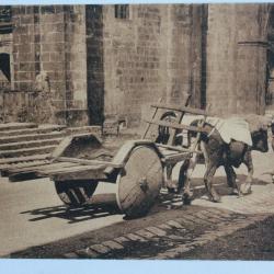 CPA Pyr&eacute;n&eacute;es-Atlantiques Urrugne Attelage basque Ramuntcho