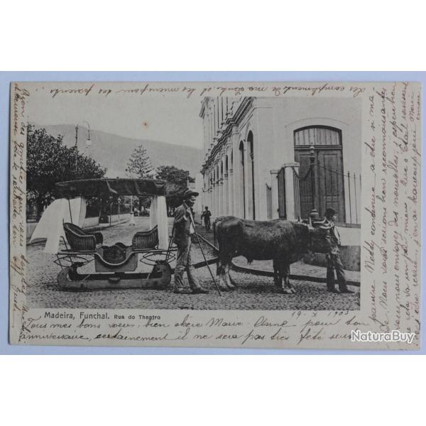 CPA Portugal Madeira Funchal Rua do Theatro Attelage de boeufs