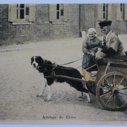 CPA Loiret Attelage de chien S&eacute;rie Orl&eacute;ans &eacute;d. Lenormand
