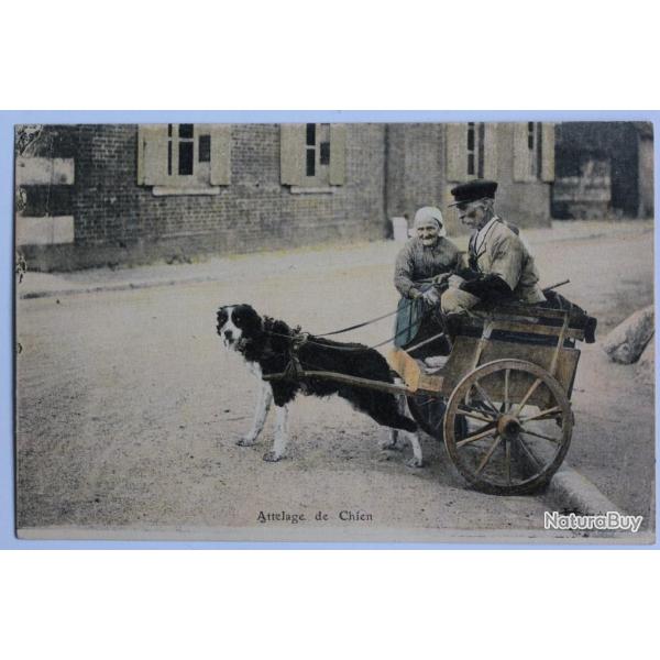 CPA Loiret Attelage de chien S�rie Orl�ans �d. Lenormand