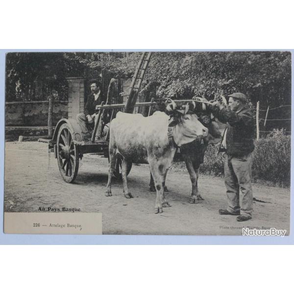 CPA Pyr�n�es-Atlantiques Au Pays Basque Attelage basque Boeufs