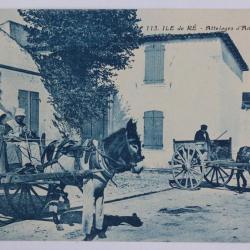 CPA Charente-Maritime Île de Ré Attelages Ânes en culotte