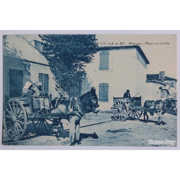 CPA Charente-Maritime �le de R� Attelages �nes en culotte