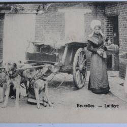 CPA Belgique Bruxelles Laitière Attelage de chiens