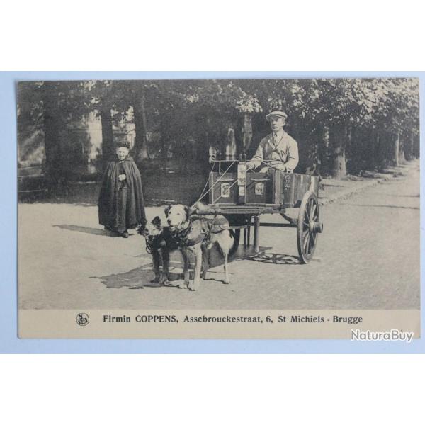 CPA Belgique Bruges Voiture � chien Firmin Coppens