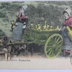 CPA Belgique Bruxelles Laitières Flamandes Attelage de chiens